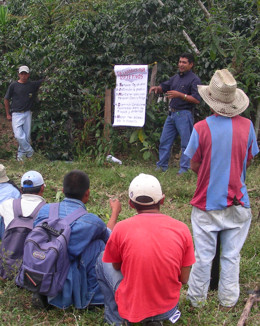 Workshop in the Field